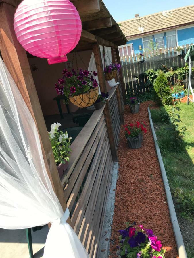 科尔布Casa David公寓 外观 照片